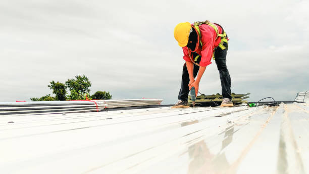 Best Roof Maintenance and Cleaning  in West Miami, FL