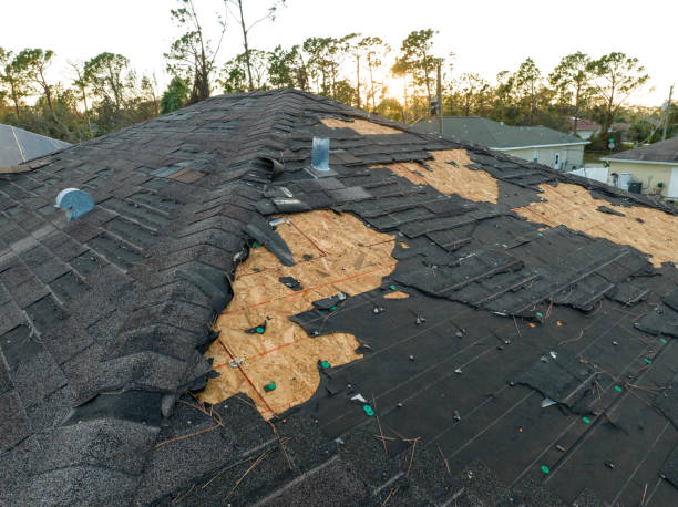 Best Asphalt Shingle Roofing  in West Miami, FL