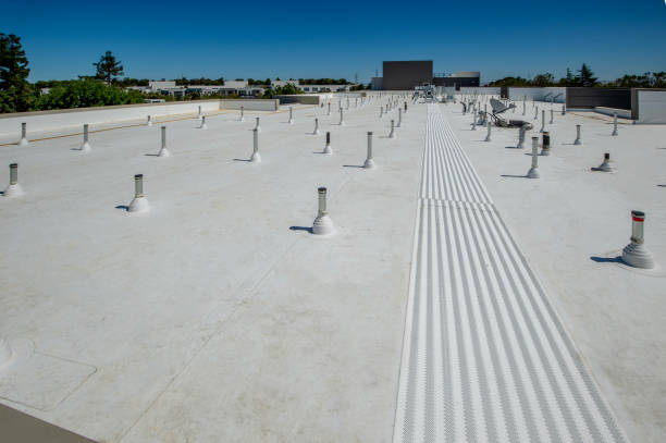 Best Skylight Installation and Repair  in West Miami, FL